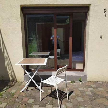 F2 Proche Strasbourg Terrasse Sans Voisins